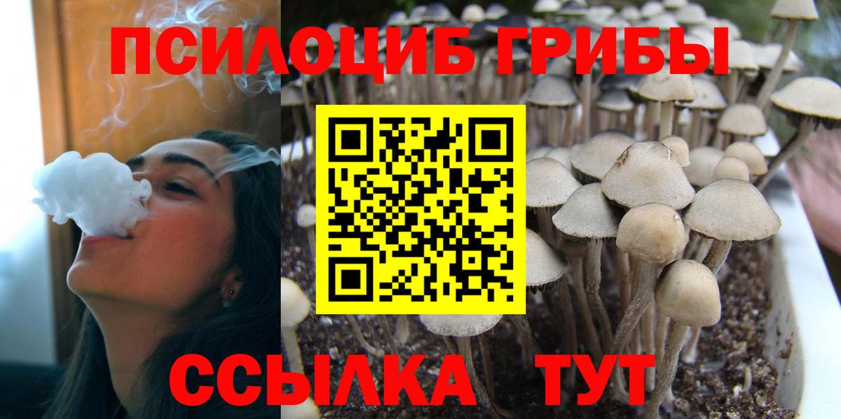 Псилоцибиновые грибы Magic Shrooms  Вход с VPN  цена наркотик  Кировск 